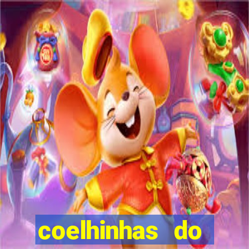 coelhinhas do brasil recife